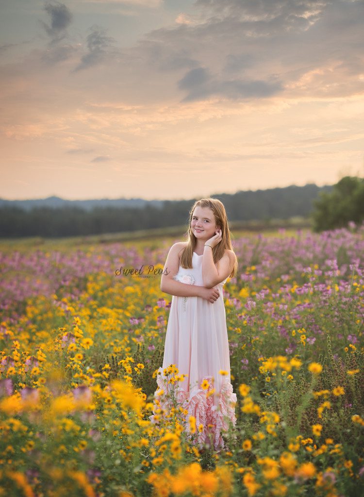 AZ Family Photographer
