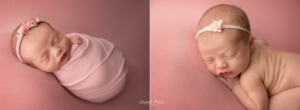 Newborn Photography sweet pea photography
