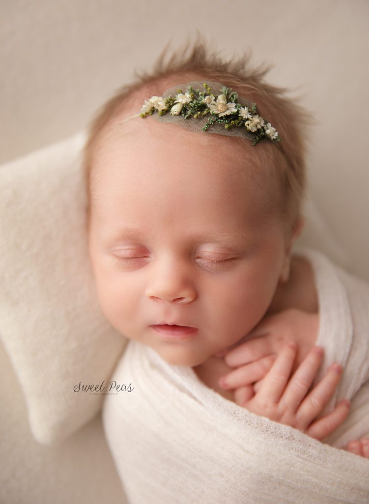 Williams Newborn Photographer