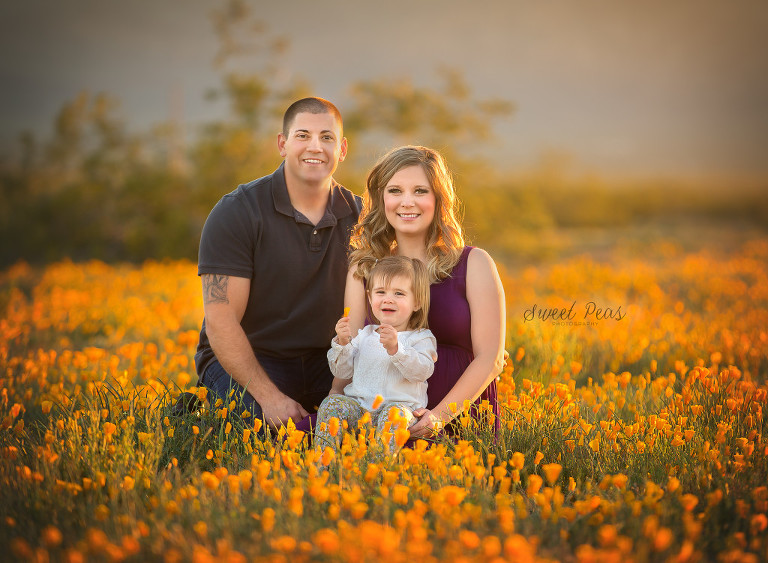 Kingman Family Photographer family in a poppy field