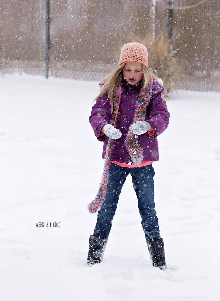 IMG_2345(week 2) web