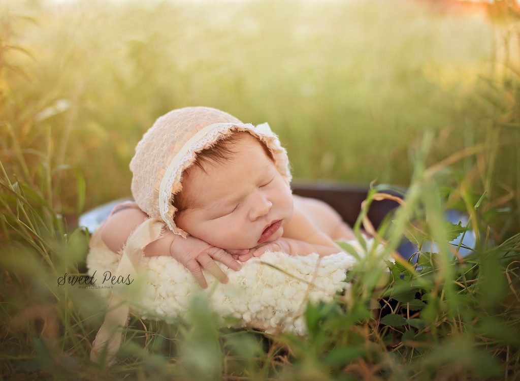 outdoor newborn session