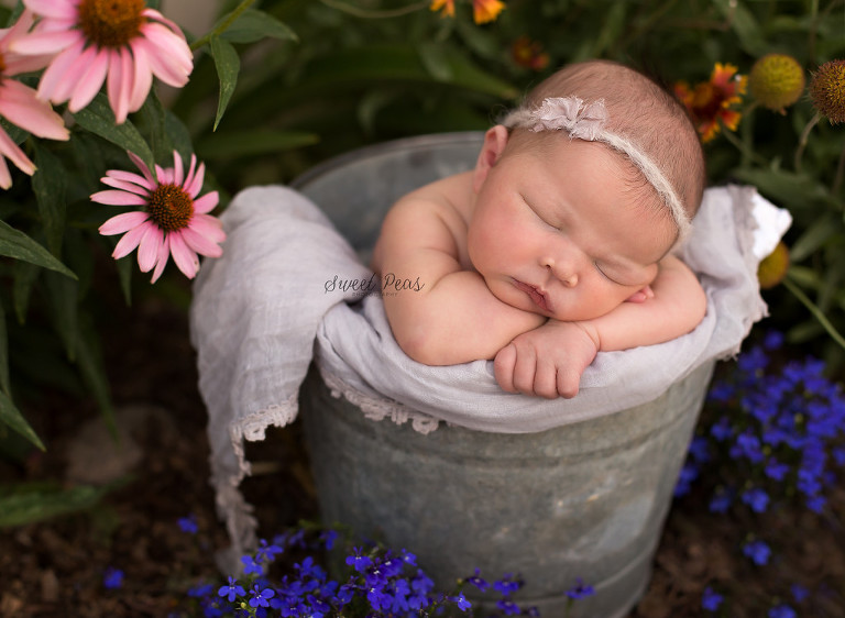 Outdoor Newborn Photographer