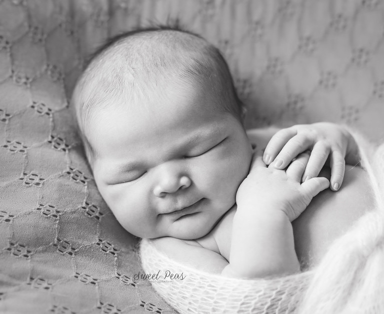 Newborn Photographer