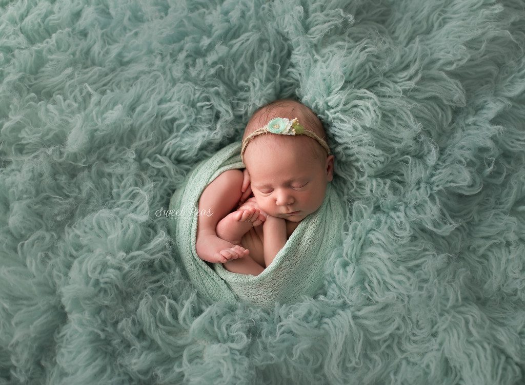 Kingman Newborn Photographer