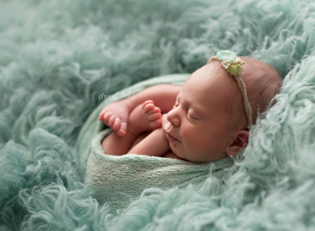Newborn Photographer
