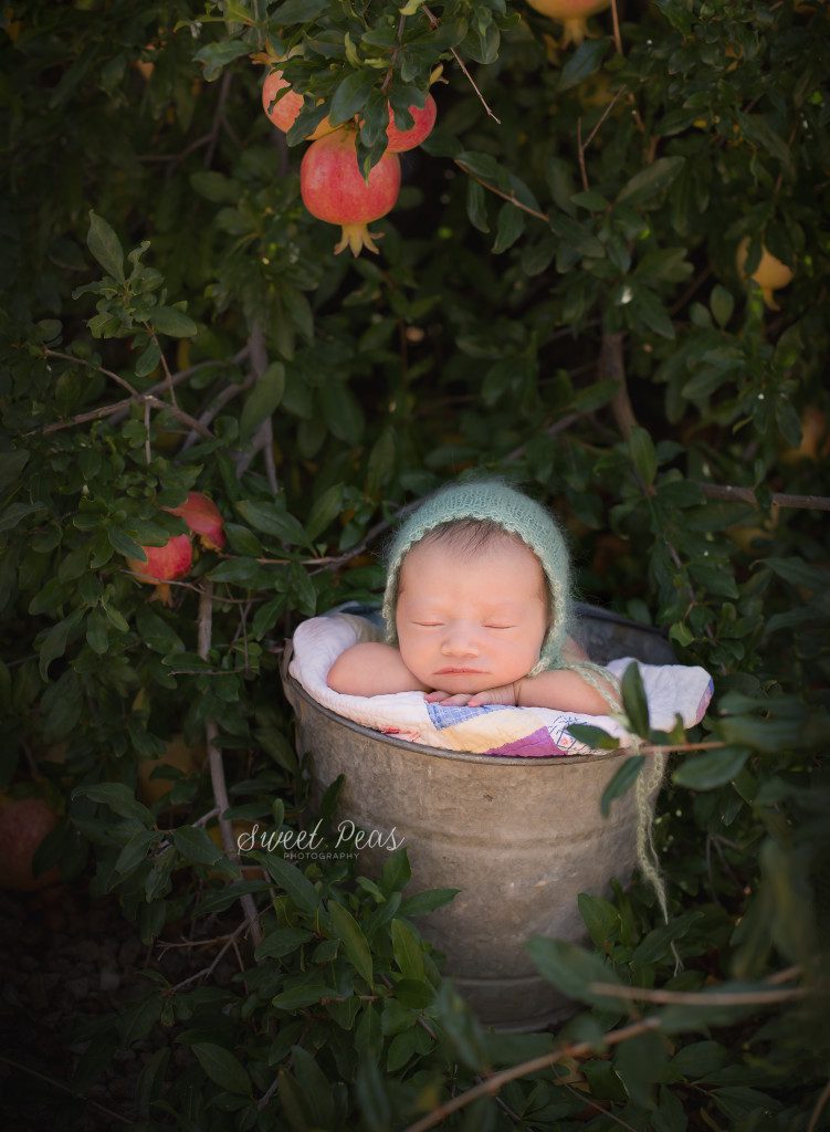 Kingman, AZ Outdoor Newborn Photographer
