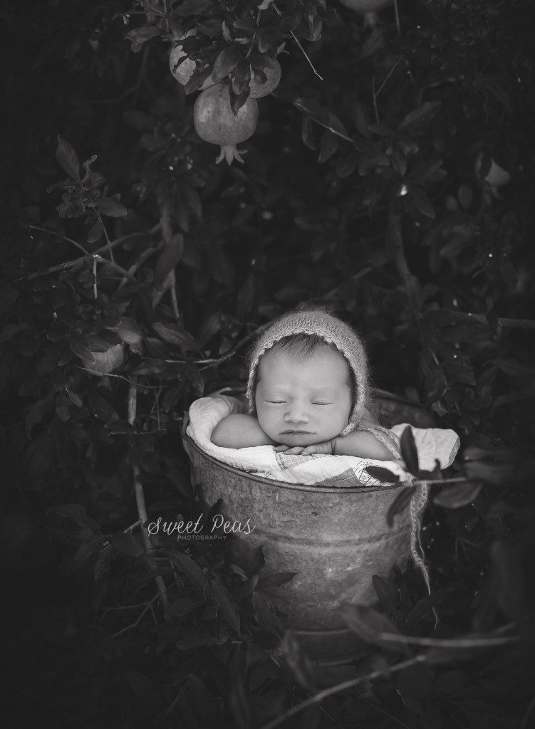 Outdoor Newborn Photographer