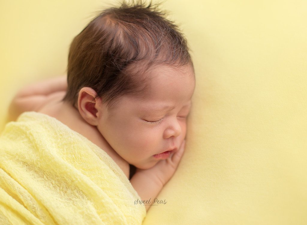 Kingman, AZ Photographer