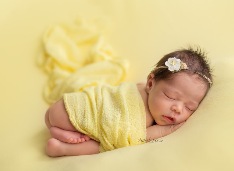Kingman, AZ Newborn Photographer | Baby Francesca