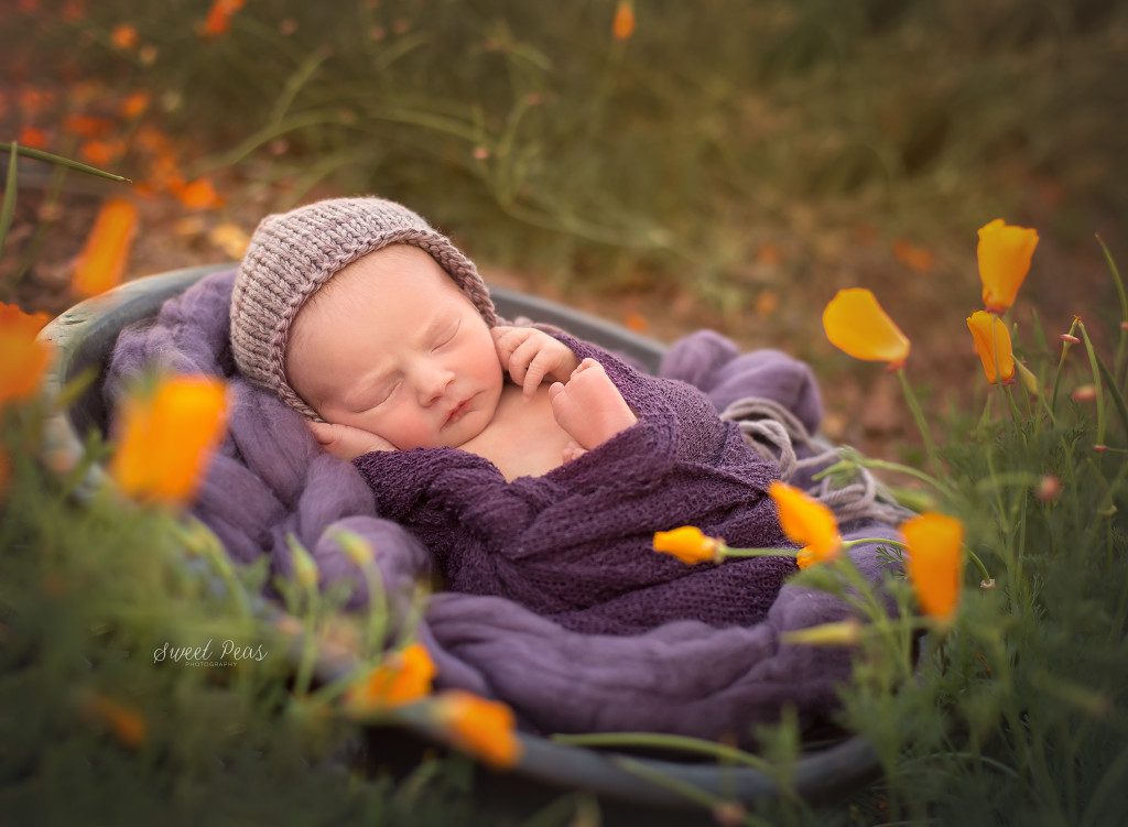 Kingman, AZ Newborn Photographer | Baby Nora