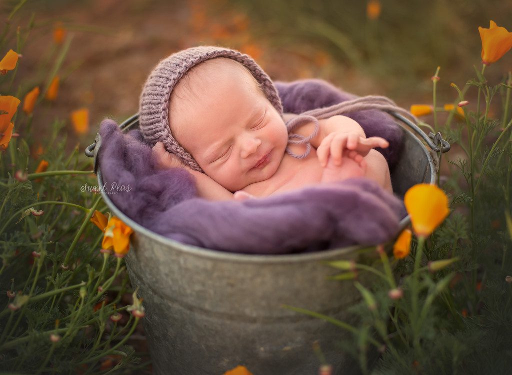 Kingman, AZ Outdoor Newborn Photographer