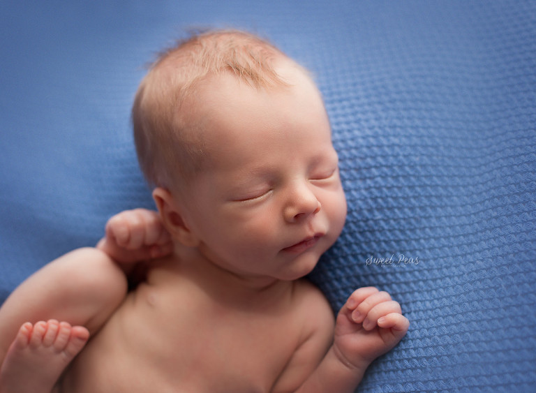 Kingman, AZ Newborn Photographer | Baby Benjamin