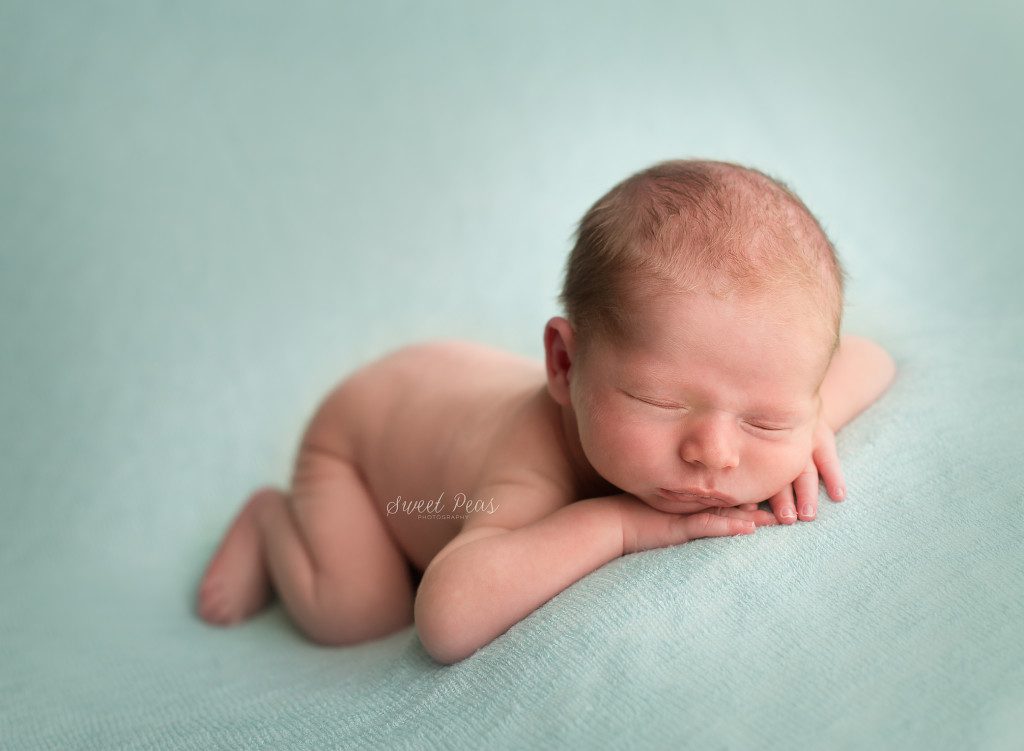 Kingman Newborn Photographer