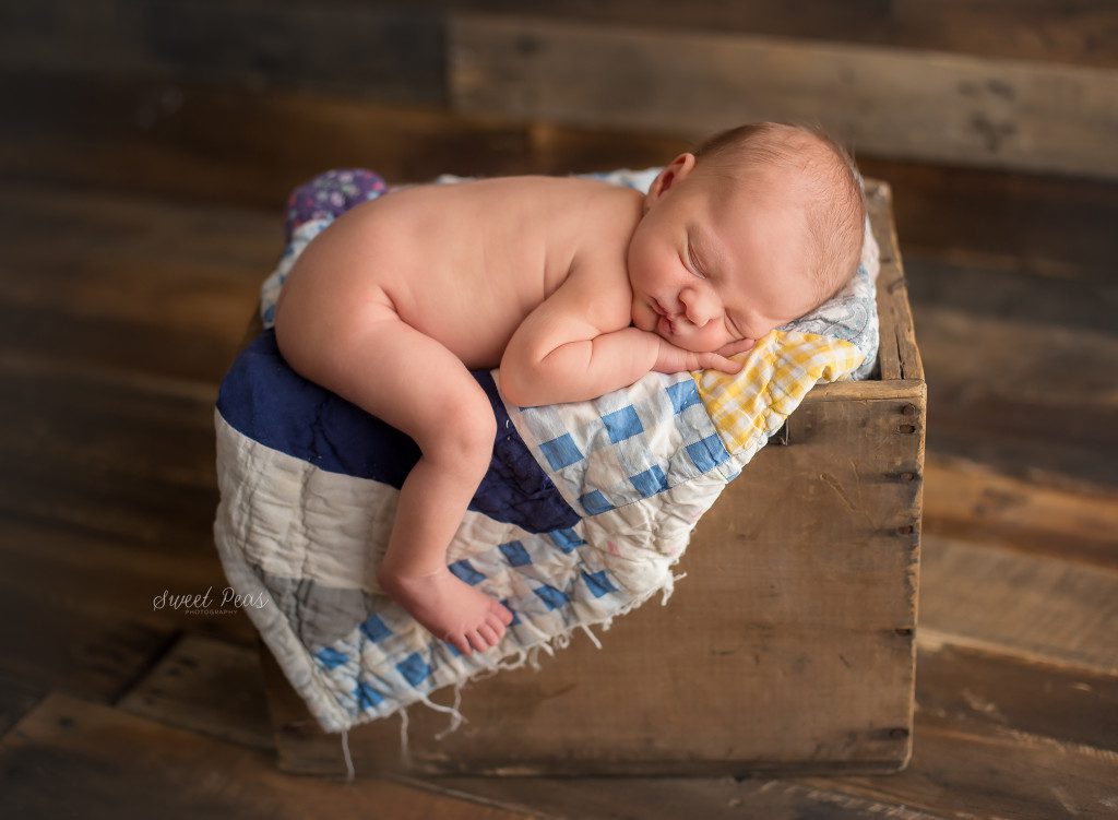 Kingman Arizona Newborn Photographer | Baby Dawson