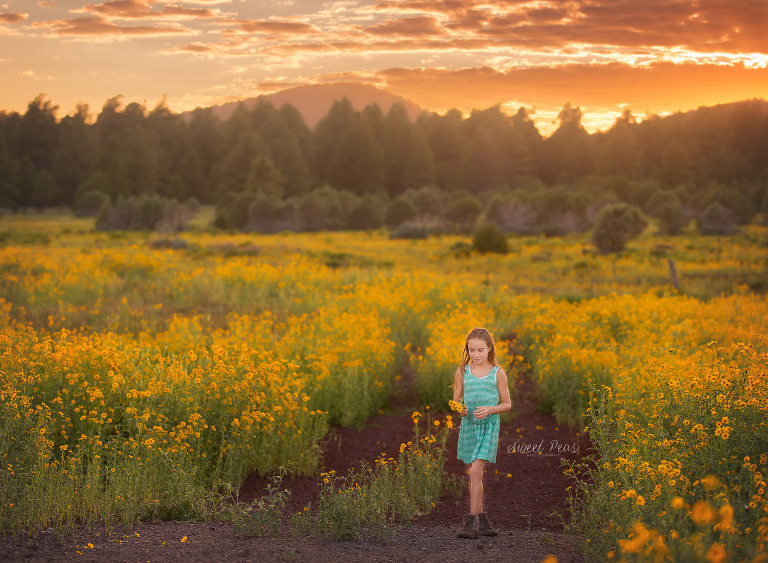 Kingman Child Photographer