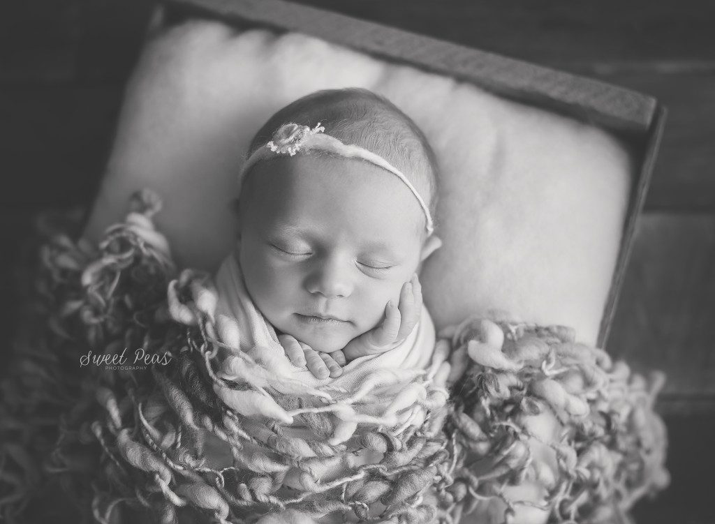 Kingman Newborn Photographer