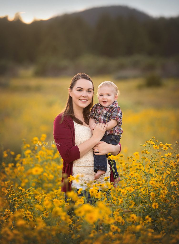 Kingman Arizona Wildflower Session