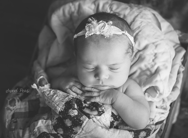Kingman Arizona Newborn Photographer Baby Skylee