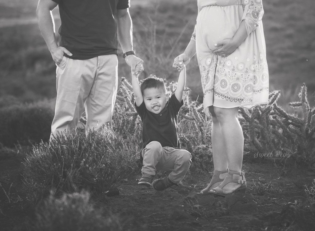 Kingman Family Photographer
