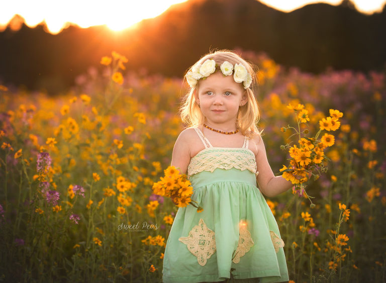 Kingman Child Photographer wildflowers