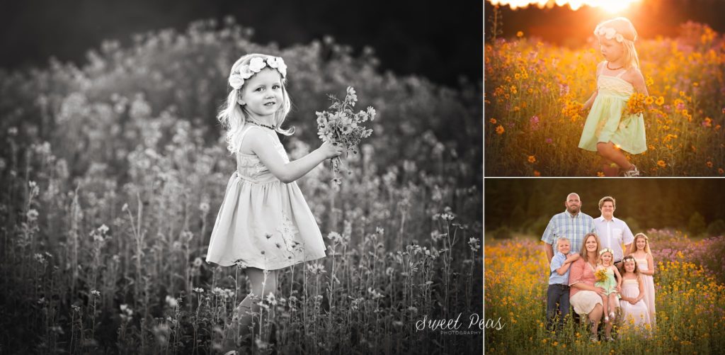 Kingman Family Photographer