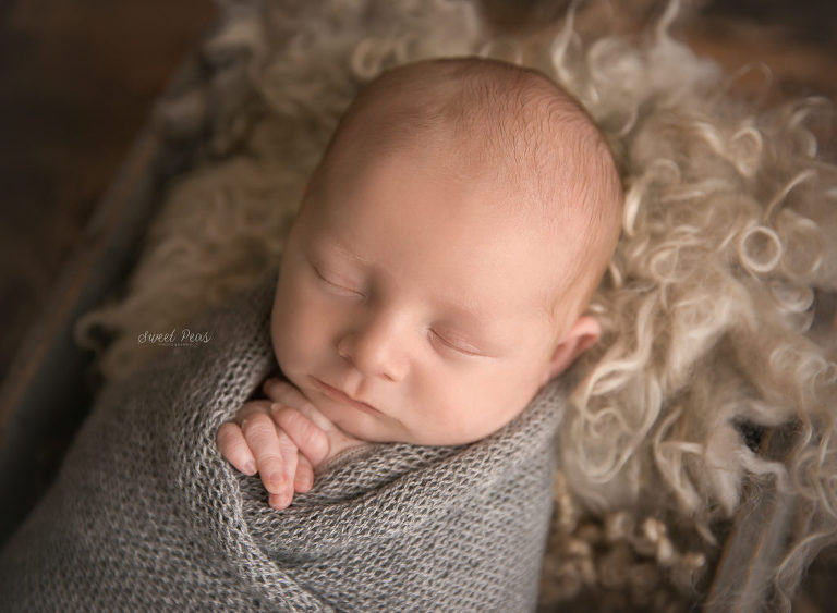 Lake Havasu Newborn Photographer