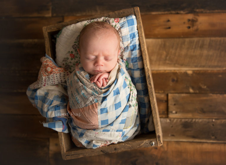 Kingman Newborn Photographer