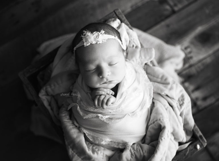 Kingman Newborn Photographer