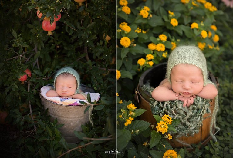 Outdoor Newborn Photograhy in Kingman Arizona