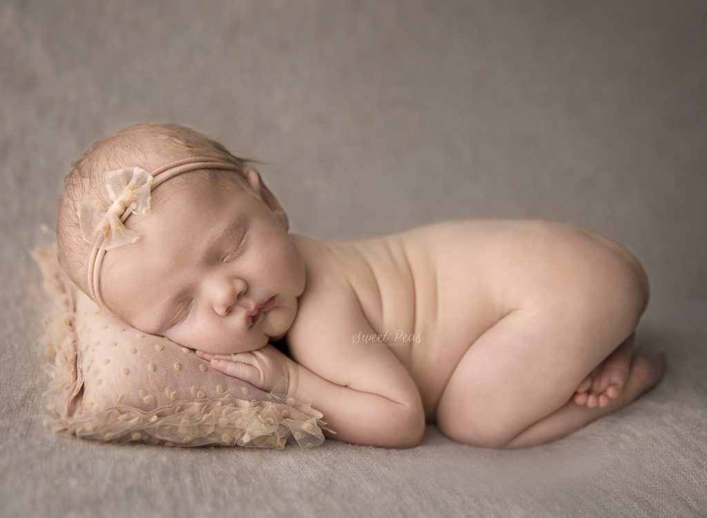 Prescott Newborn Photographer