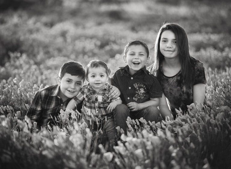 Kingman Family Photographer