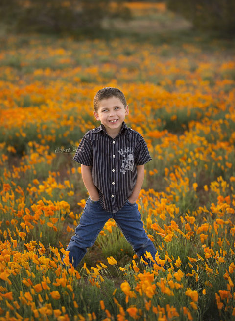 Kingman Arizona Family Photographer