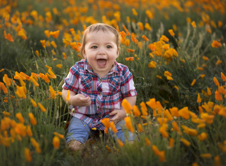 Sweet Peas Photography Kingman Family Photographer Olivia's One Year Session