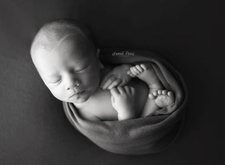 Bullhead City Newborn Photographer