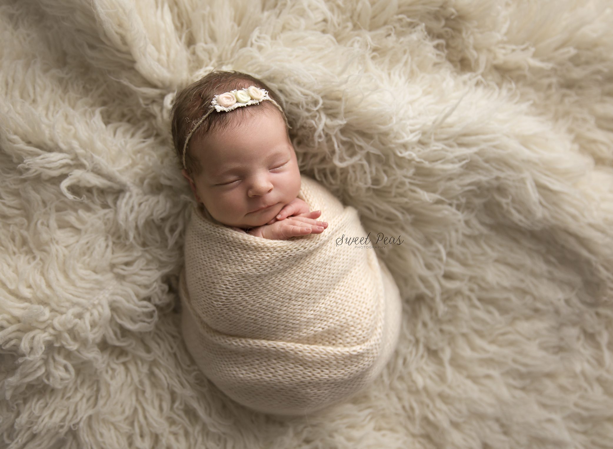 Las Vegas Newborn Photographer