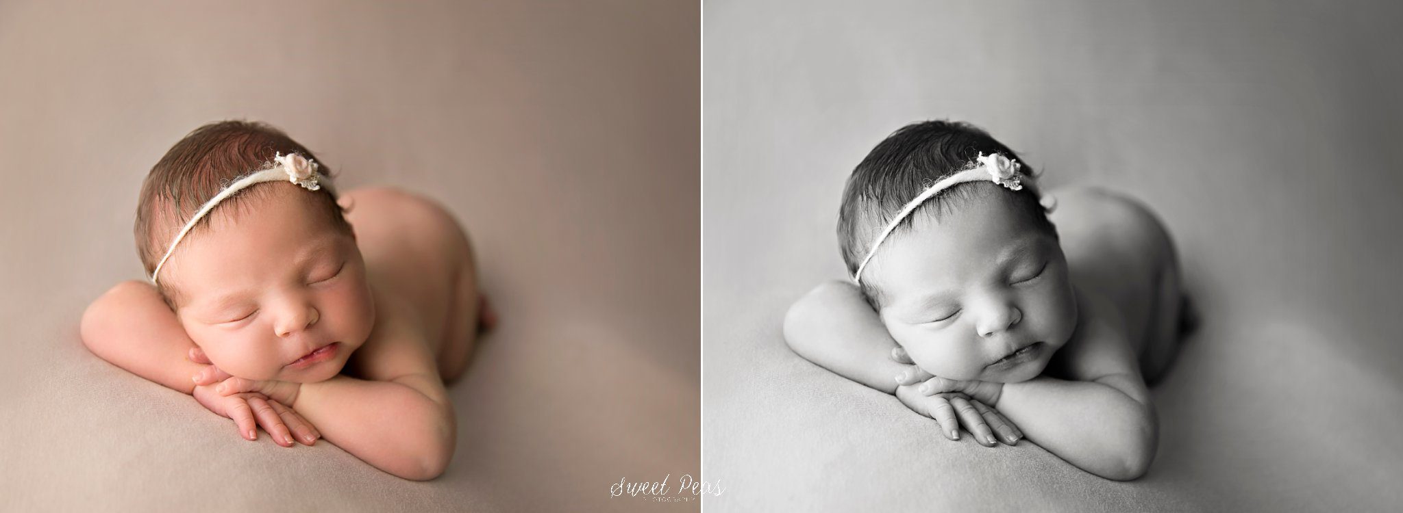 Prescott Newborn Photographer