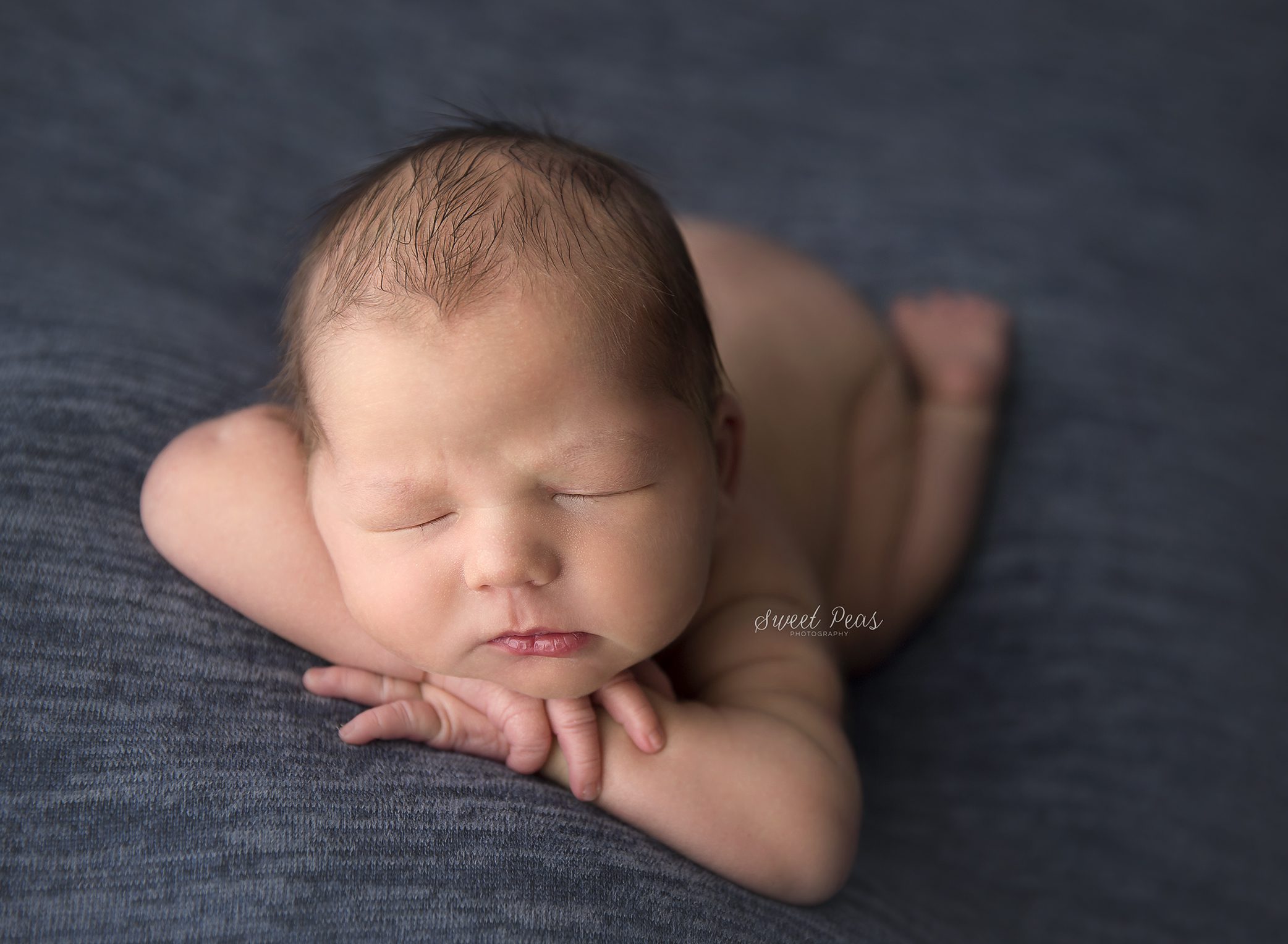 Prescott Newborn Photographer