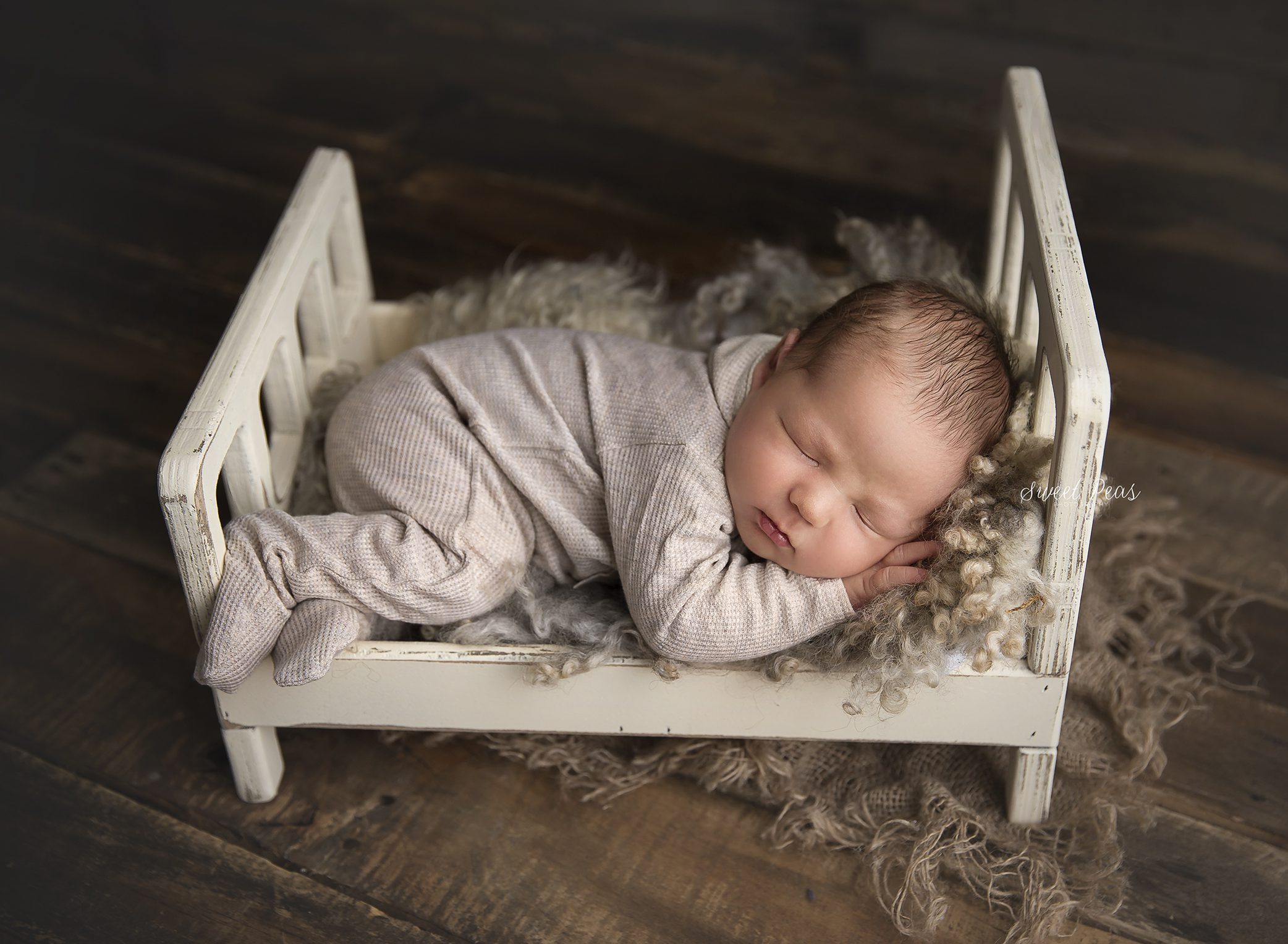 Kingman Sweet Peas Photography