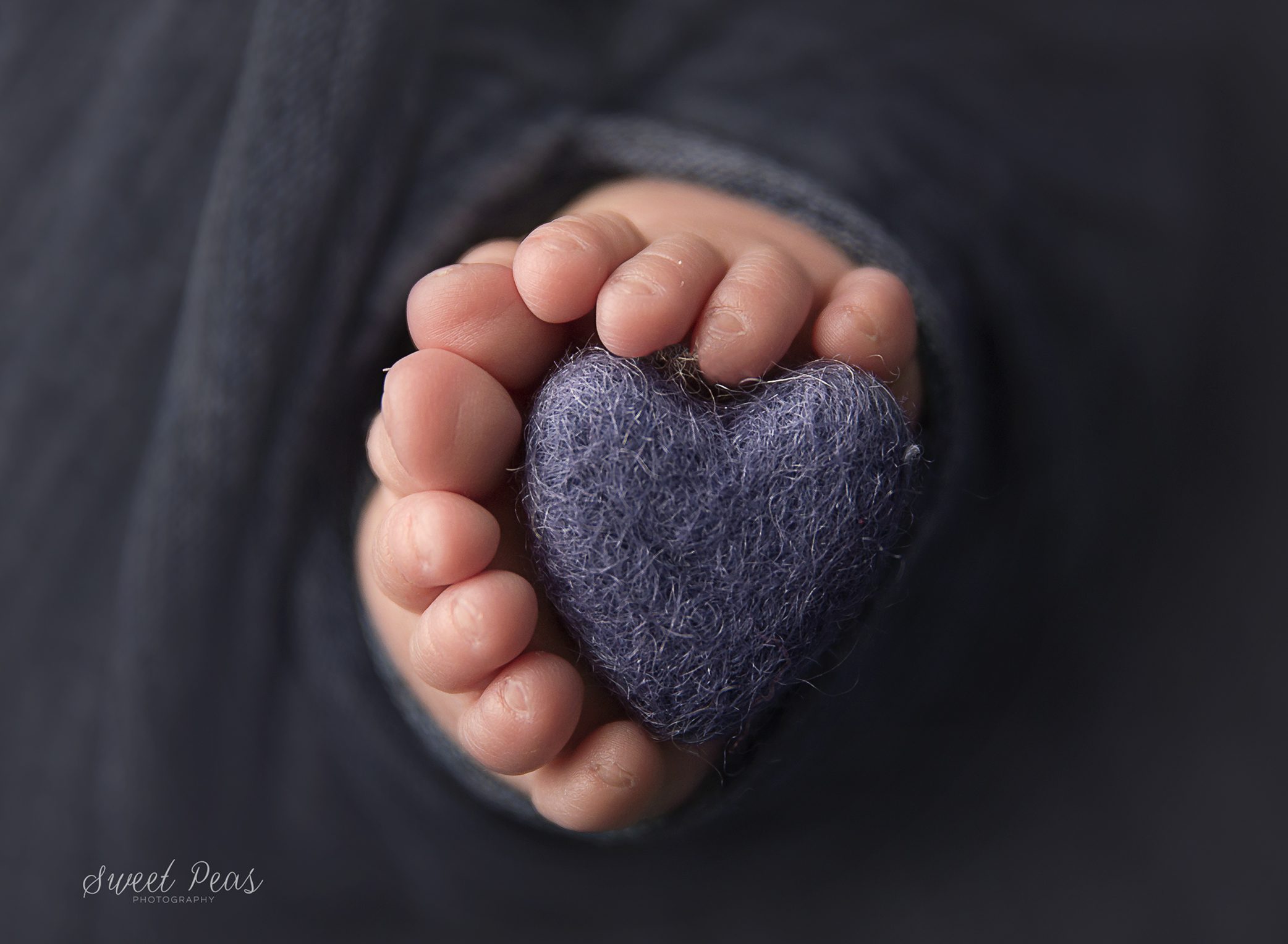 Bullhead City Photographer baby toes