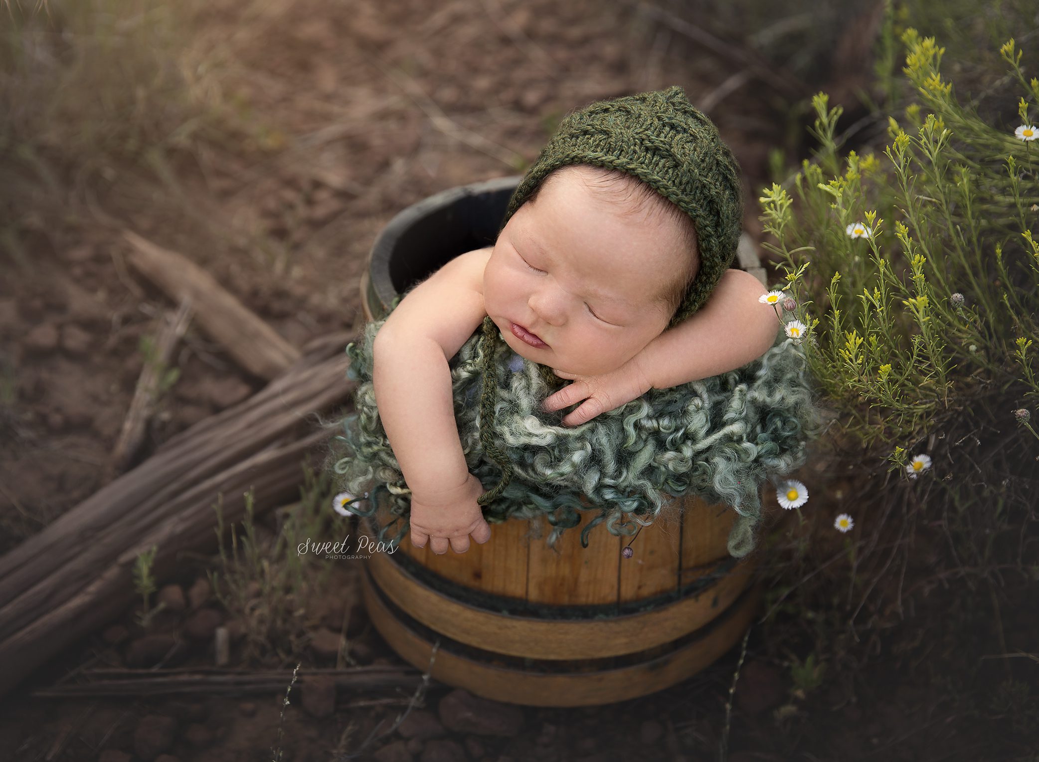 Flagstaff Newborn Photographer