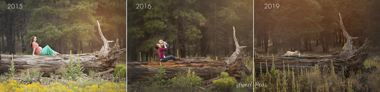 Williams Newborn Photographer