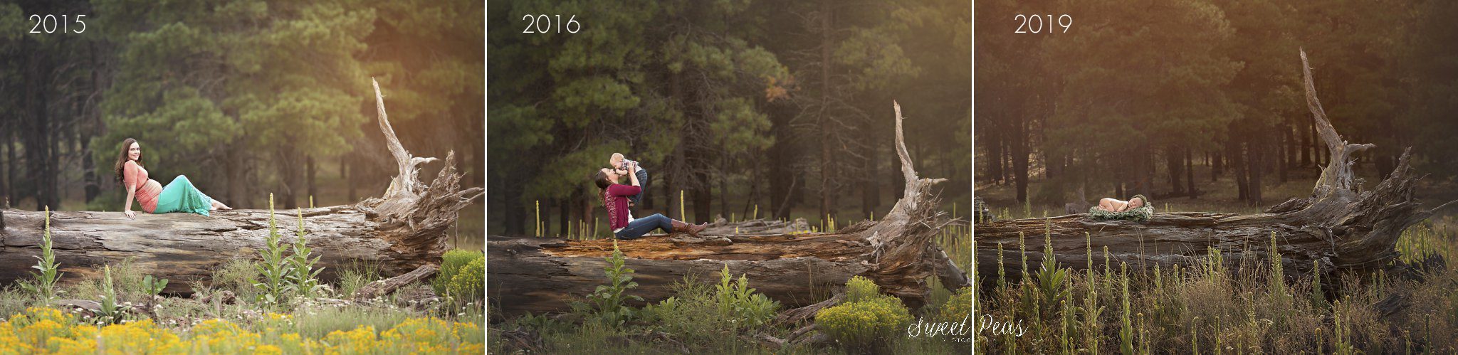 Williams Newborn Photographer