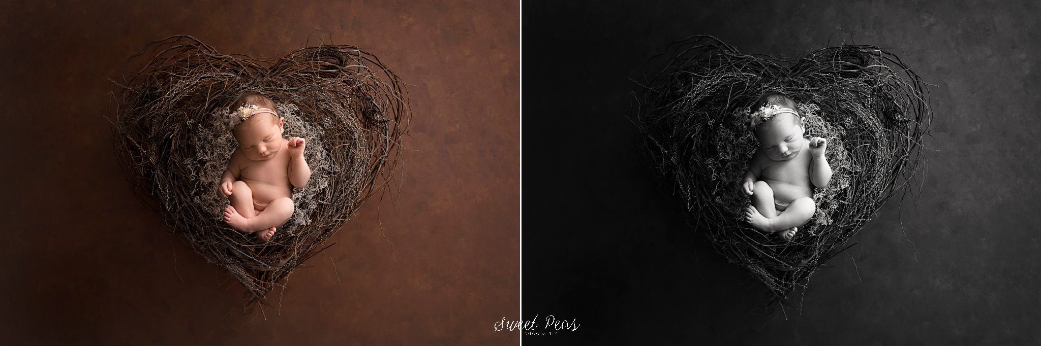 Lake Havasu City Newborn Photographer