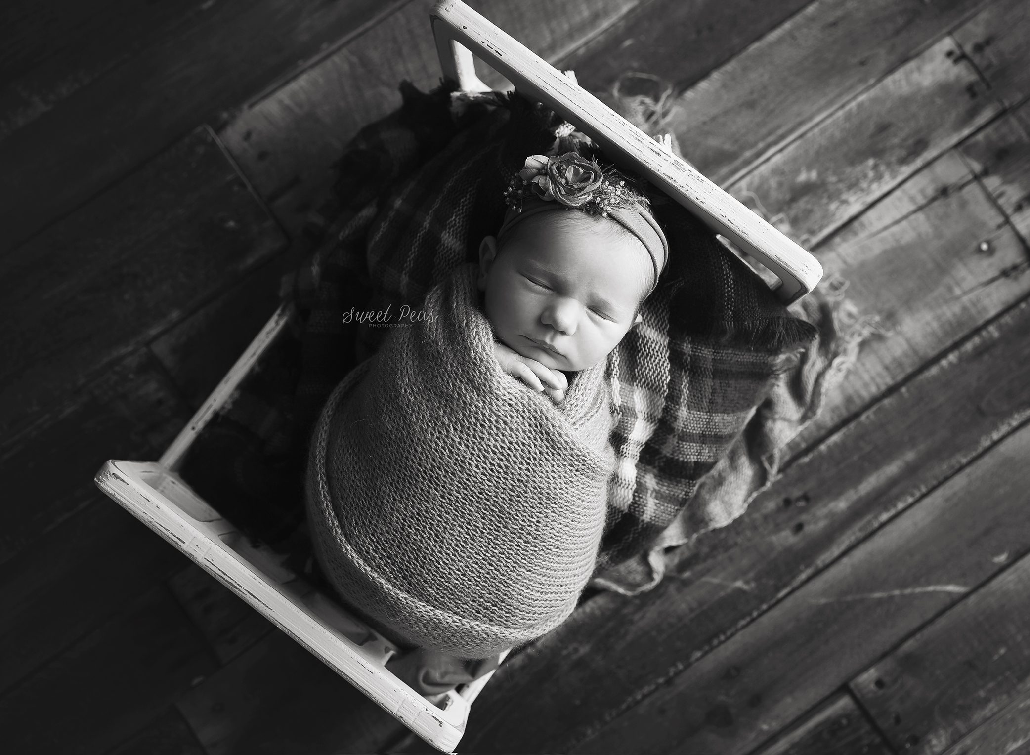Arizona Newborn Photographer
