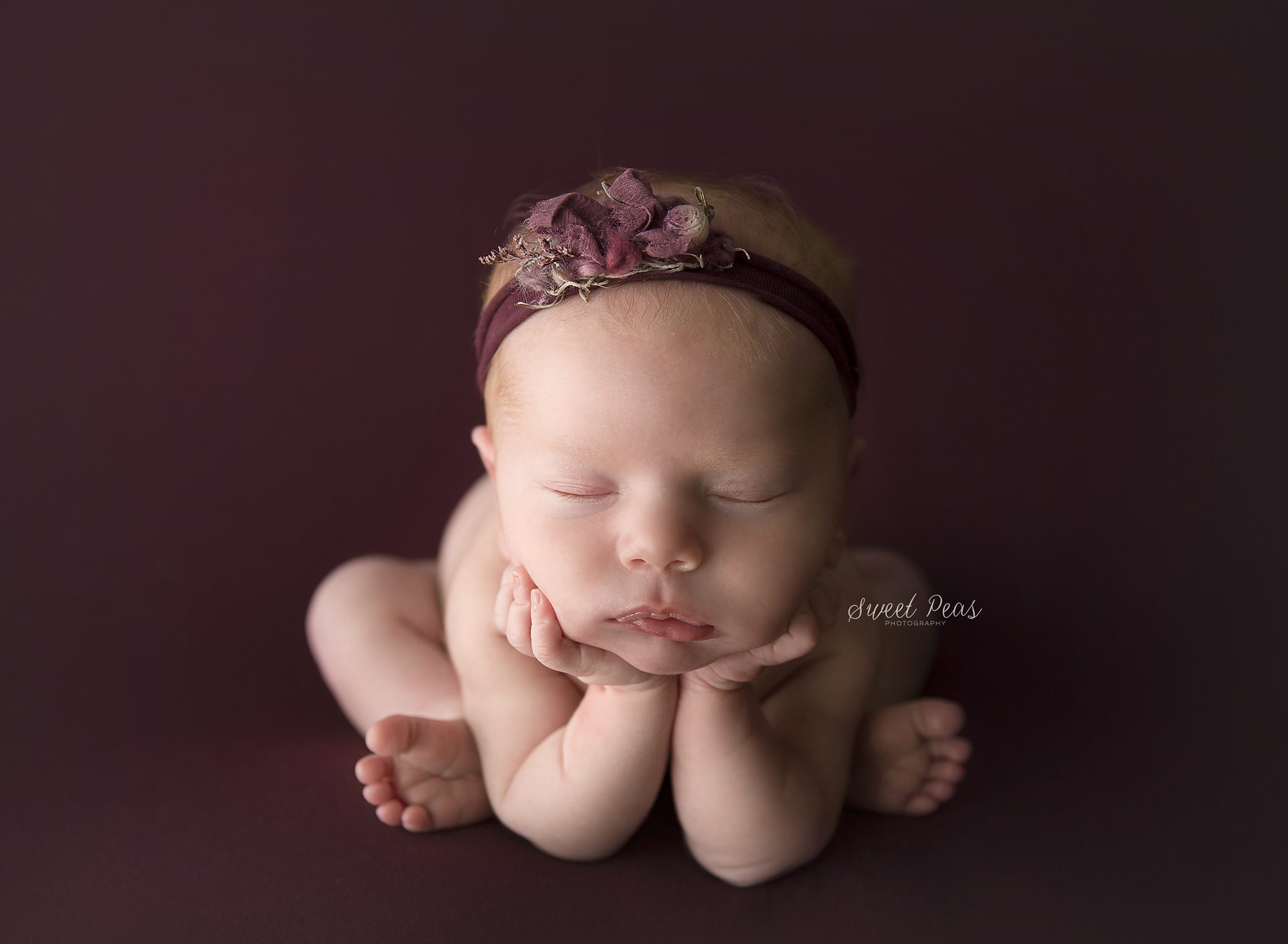 Prescott Newborn Photographer