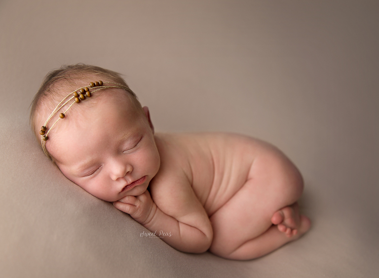 Prescott Newborn Photographer