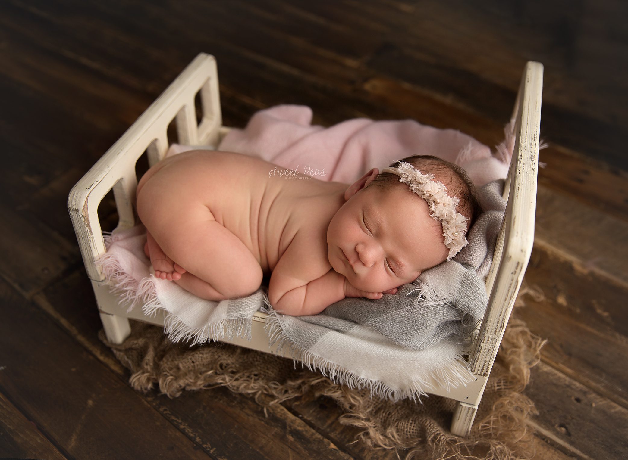 Flagstaff Newborn Photographer