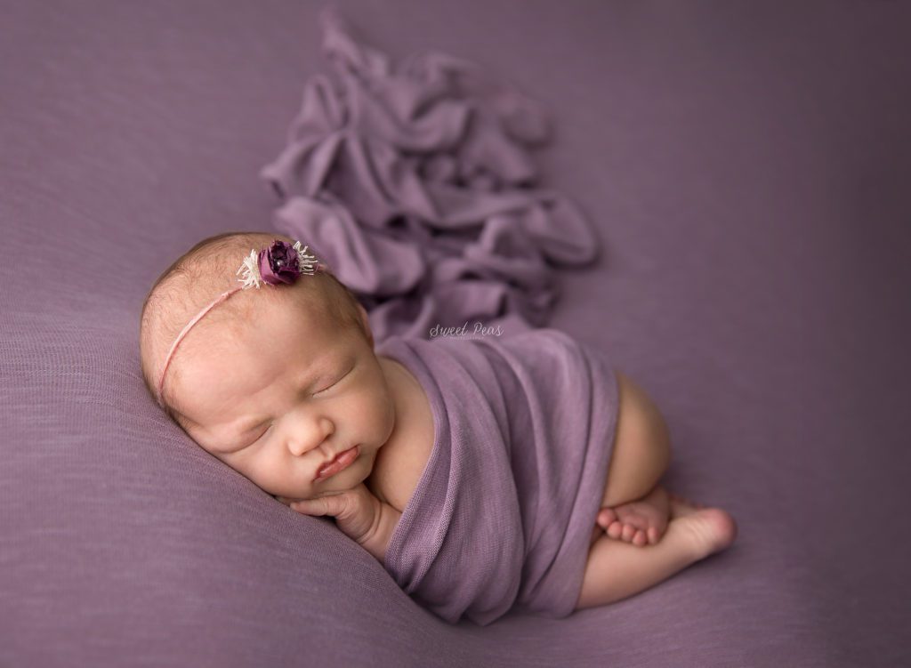 Kingman Arizona sweet peas photography