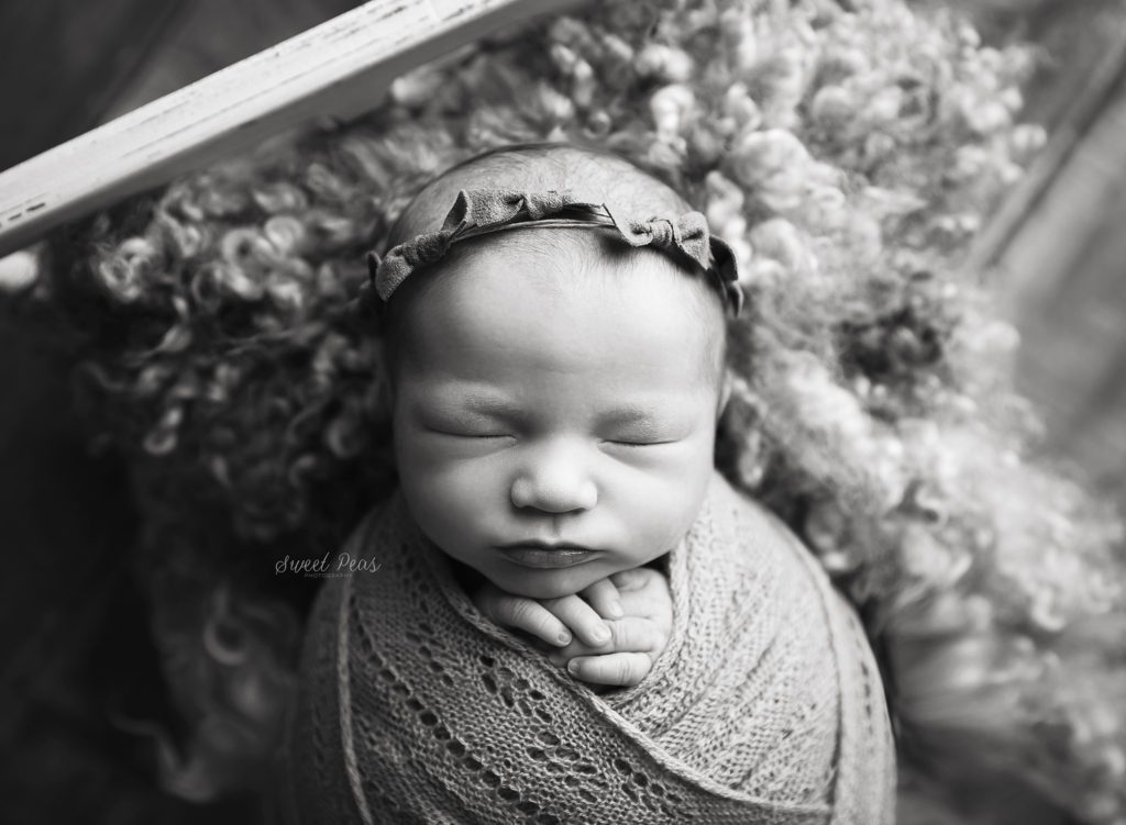 Lake Havasu Newborn Photographer